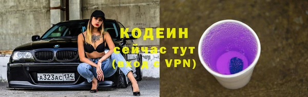 герыч Мегион