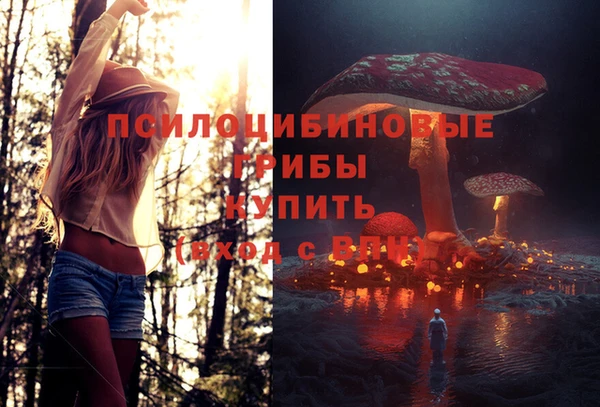амф Михайловск