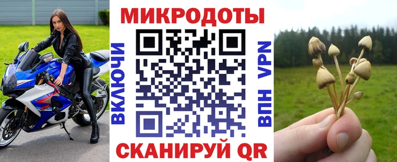 Галлюциногенные грибы GOLDEN TEACHER  Находка 