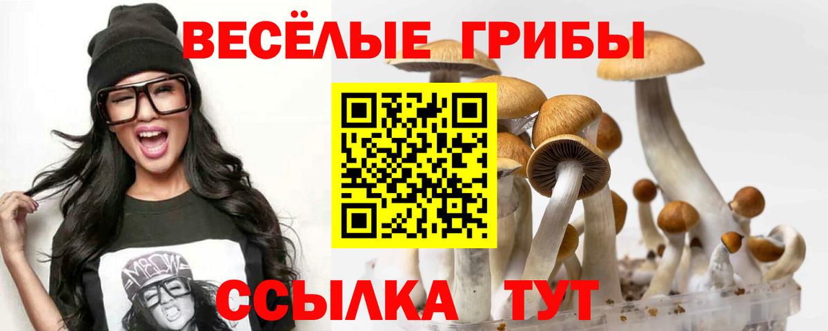 купить наркоту  Вход с VPN  Находка  Псилоцибиновые грибы GOLDEN TEACHER 